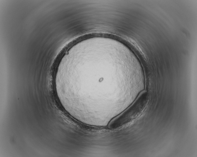 X0000111520926200908041240