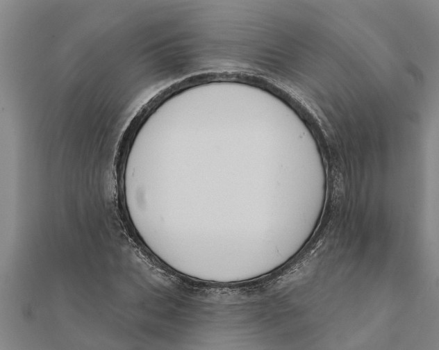X0000111520927200908041240