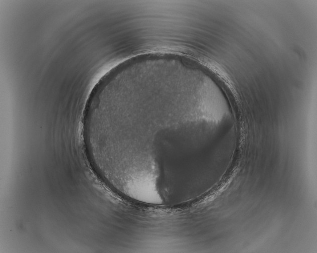 X0000111520928200908041240