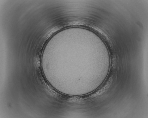 X0000111520929200908041240
