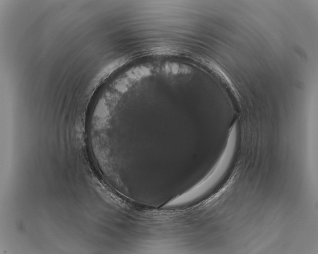 X0000111520930200908041240