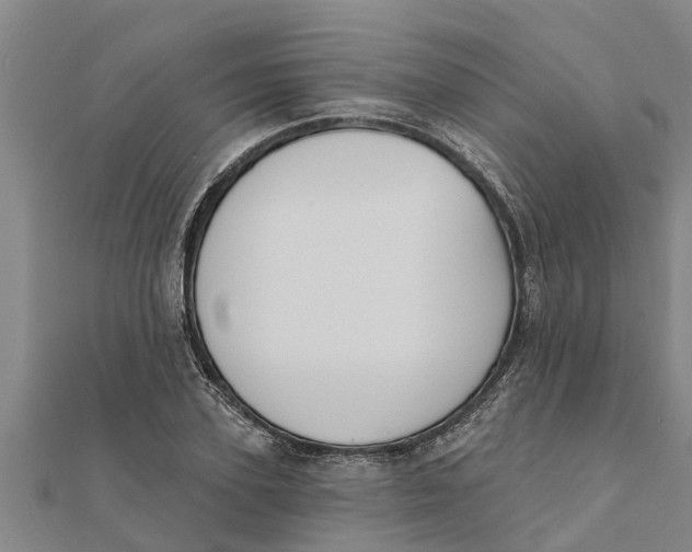 X0000111520931200908041240