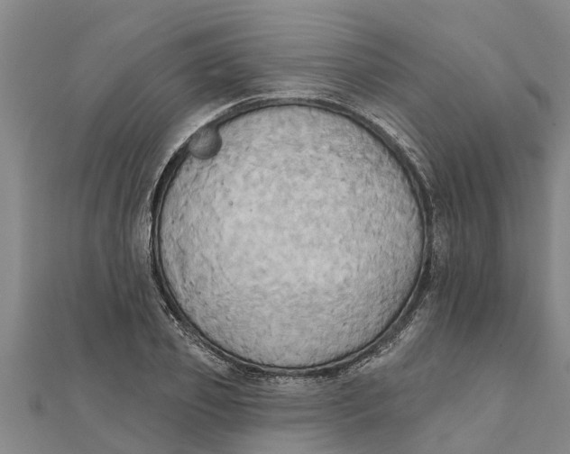 X0000111520933200908041240
