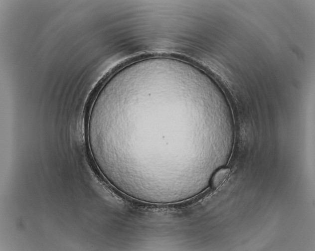 X0000111520934200908041240