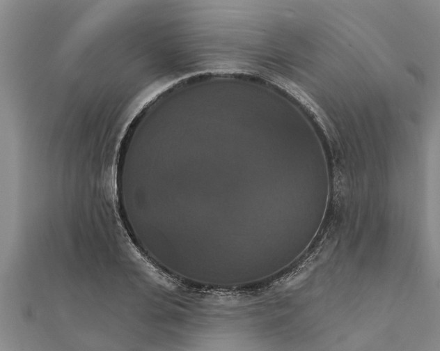 X0000111520935200908041240