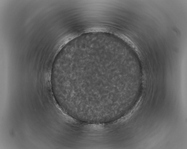 X0000111520937200908041240