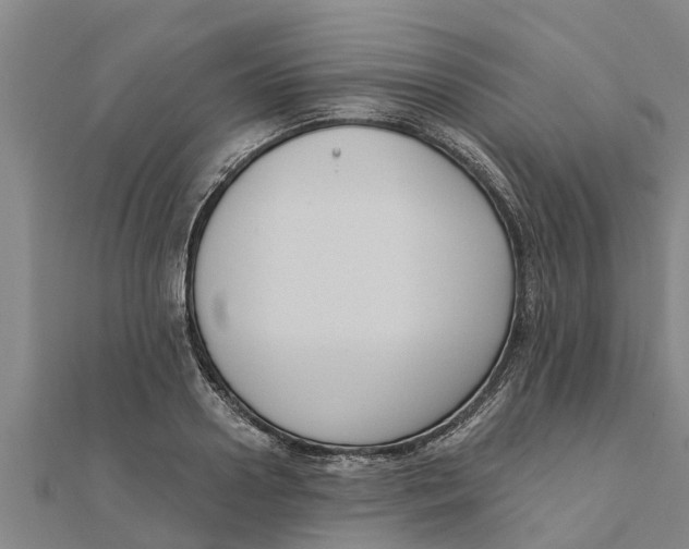 X0000111520938200908041240