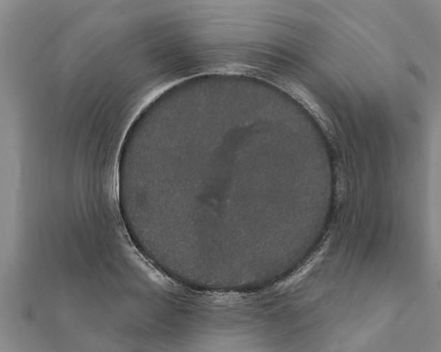 X0000111520940200908041240
