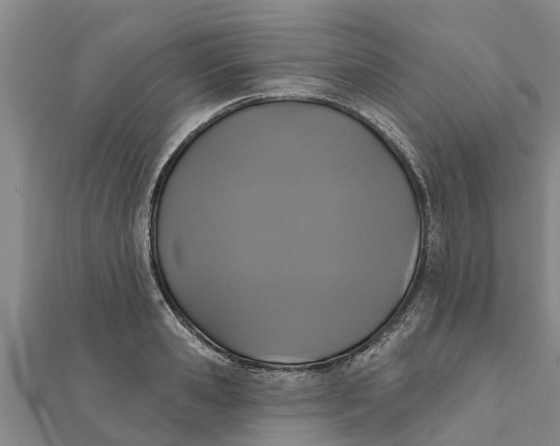 X0000111520941200908041240