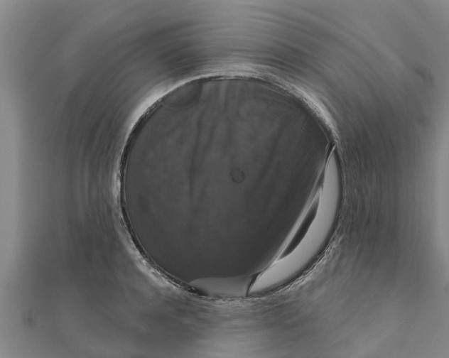 X0000111520944200908041240