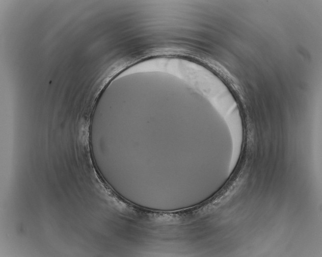 X0000111520945200908041240