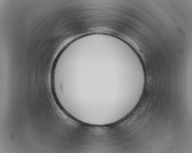 X0000111520947200908041240