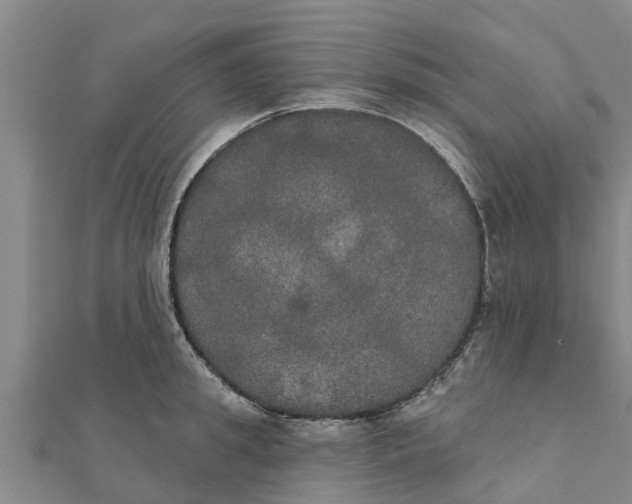 X0000111520949200908041241