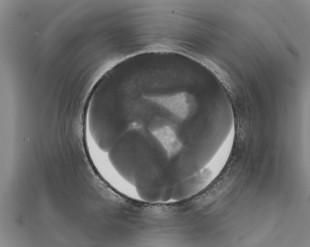 X0000111520950200908041241