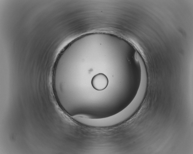 X0000111520952200908041241
