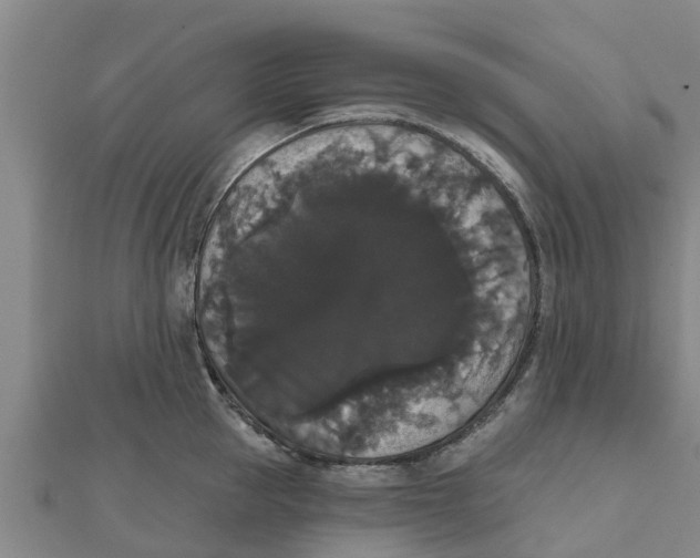 X0000111520953200908041241