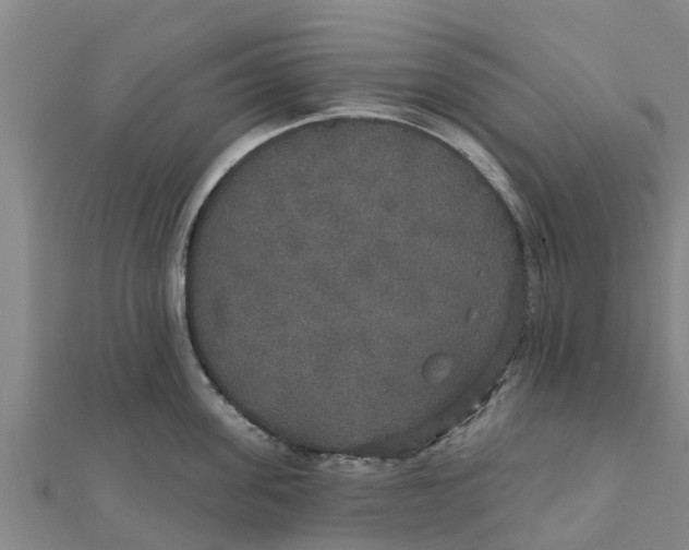 X0000111520955200908041241
