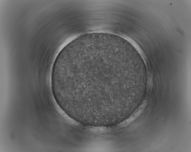 X0000111520957200908041241