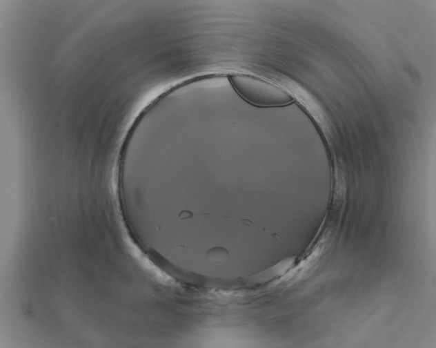 X0000111520958200908041241