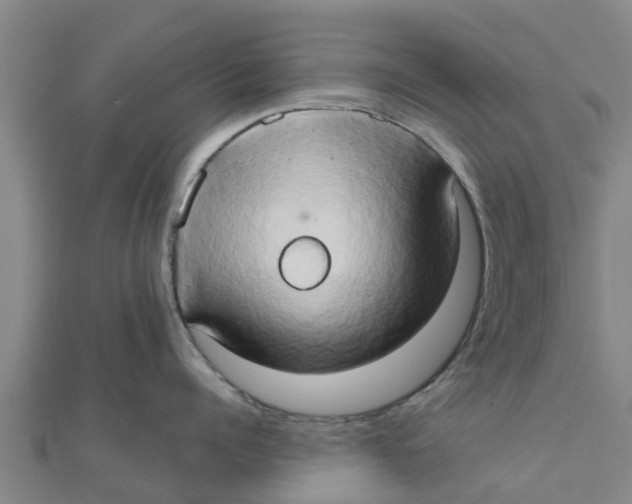 X0000111520960200908041241