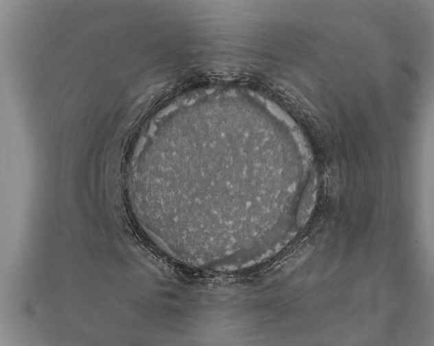X0000111520961200908041240