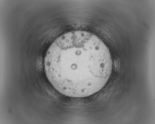 X0000111520963200908041240
