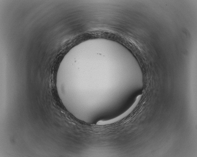 X0000111520965200908041240