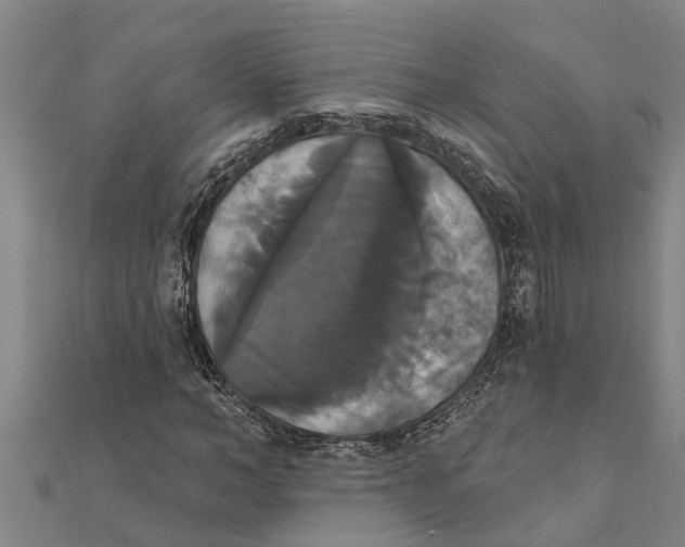 X0000111520966200908041240