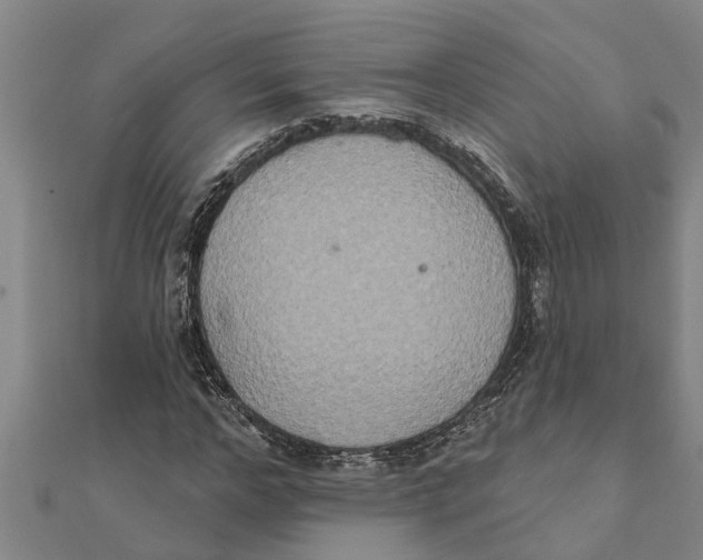 X0000111520968200908041240