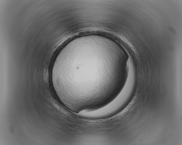 X0000111520969200908041240