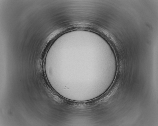 X0000111520970200908041240