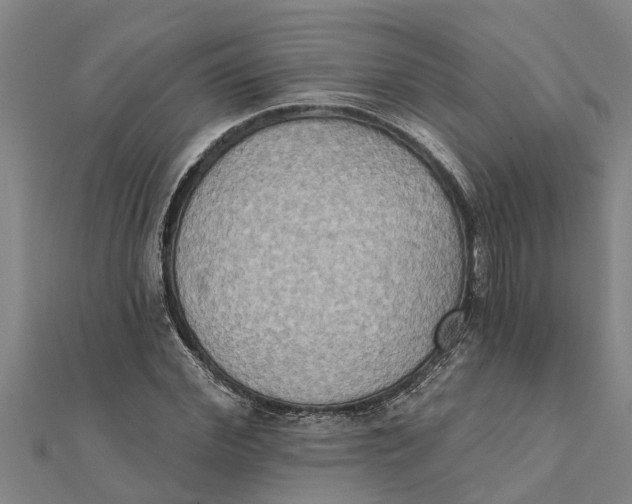 X0000111520972200908041240