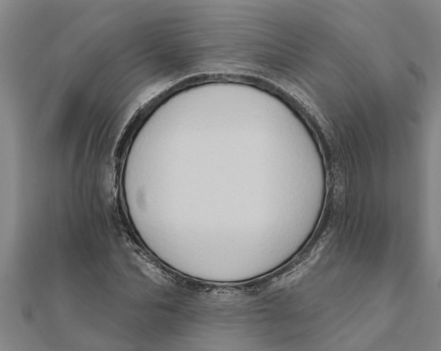 X0000111520974200908041240