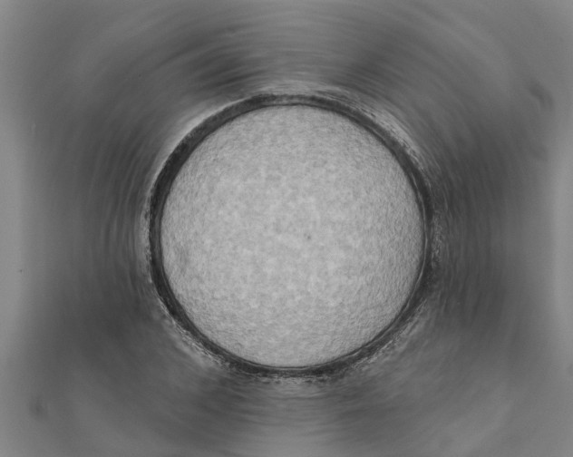 X0000111520976200908041240