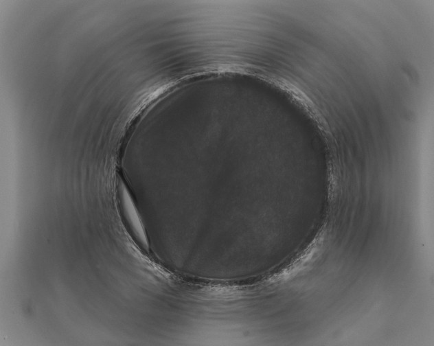 X0000111520977200908041240