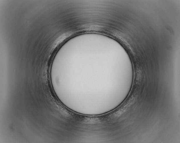 X0000111520978200908041240