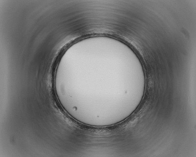 X0000111520979200908041240