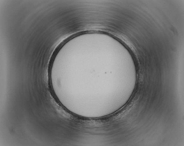 X0000111520980200908041240