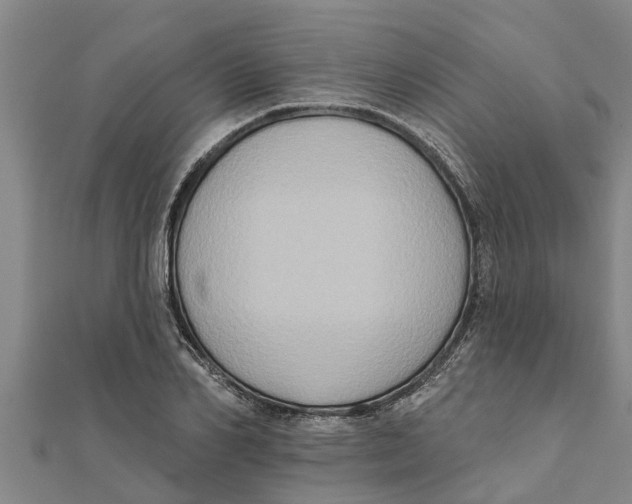 X0000111520982200908041240