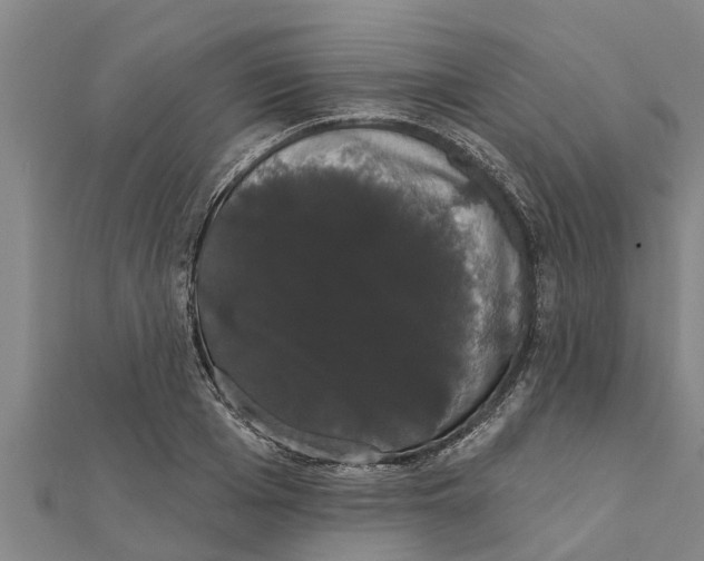 X0000111520985200908041240