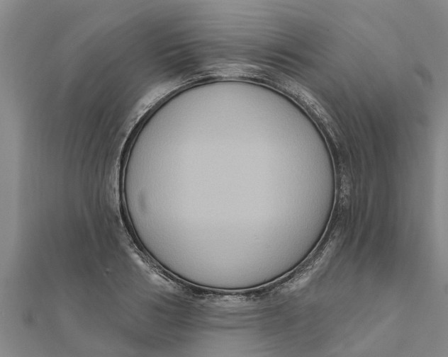 X0000111520986200908041240