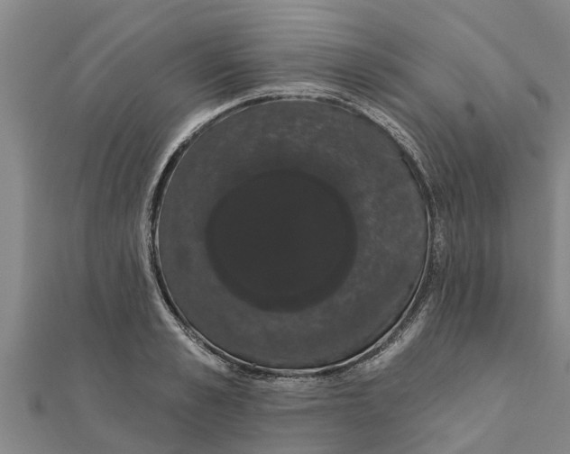 X0000111520989200908041240