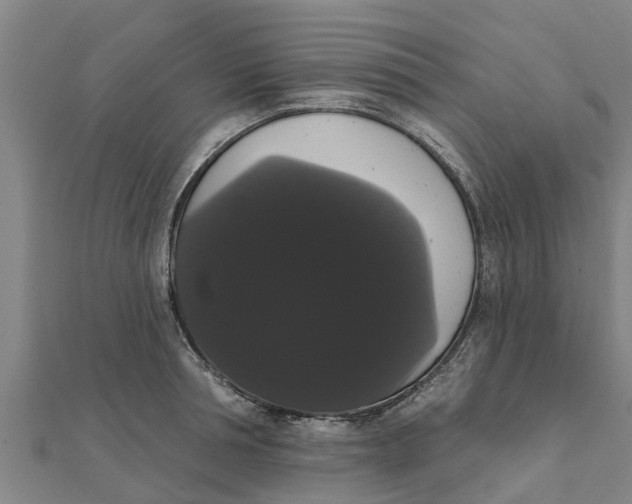 X0000111520994200908041240