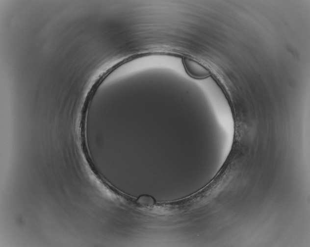 X0000111520995200908041240