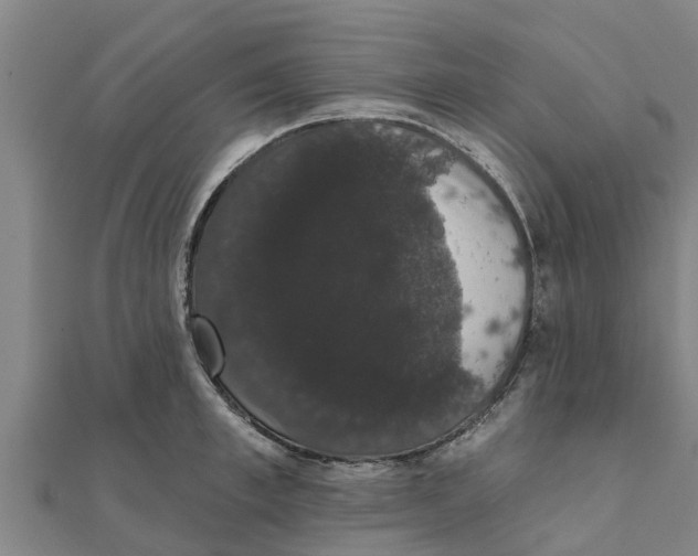 X0000111520997200908041240