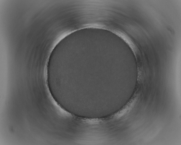 X0000111520999200908041240