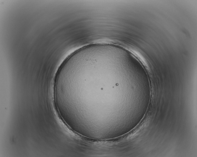 X0000111521000200908041240
