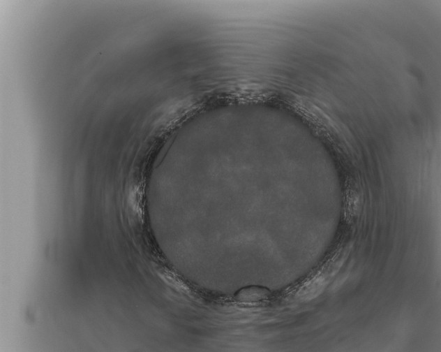 X0000111521010200908041239