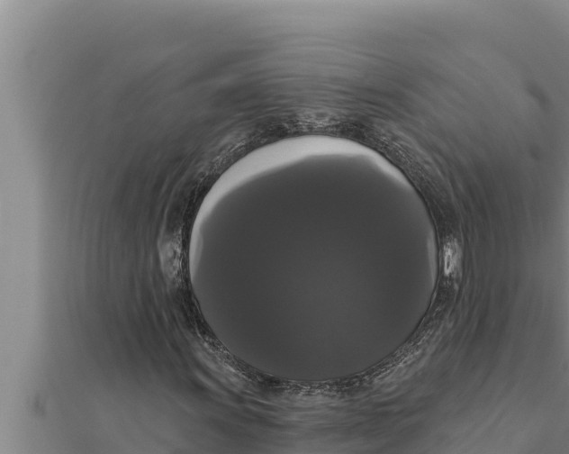 X0000111521011200908041239