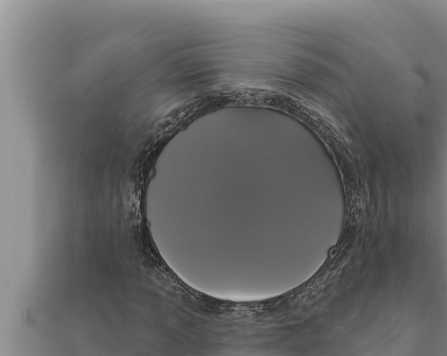 X0000111521013200908041239